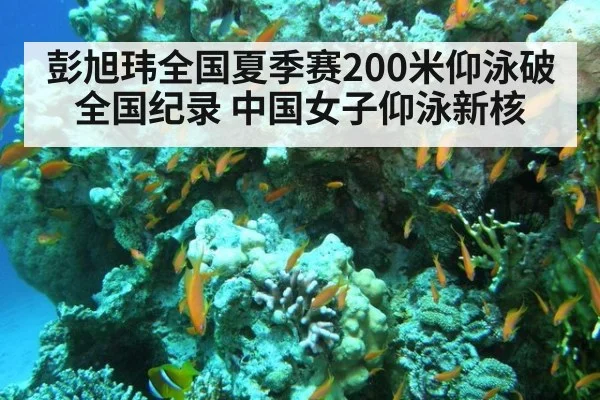 彭旭玮全国夏季赛200米仰泳破全国纪录 中国女子仰泳新核