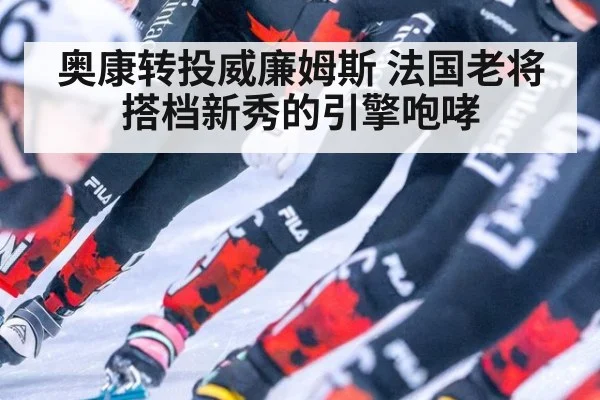 奥康转投威廉姆斯 法国老将搭档新秀的引擎咆哮
